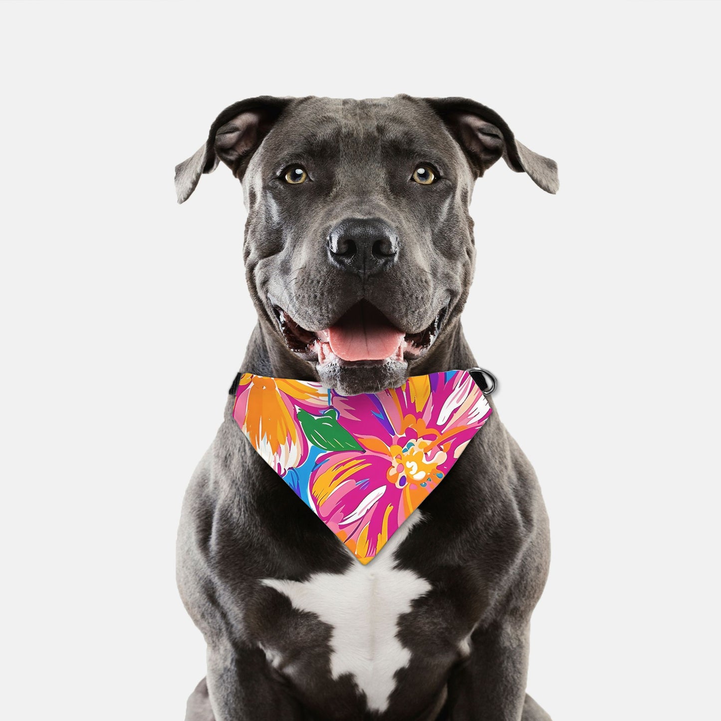 Collar Pet Bandana (LG & XL)