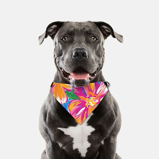 Collar Pet Bandana (LG & XL)