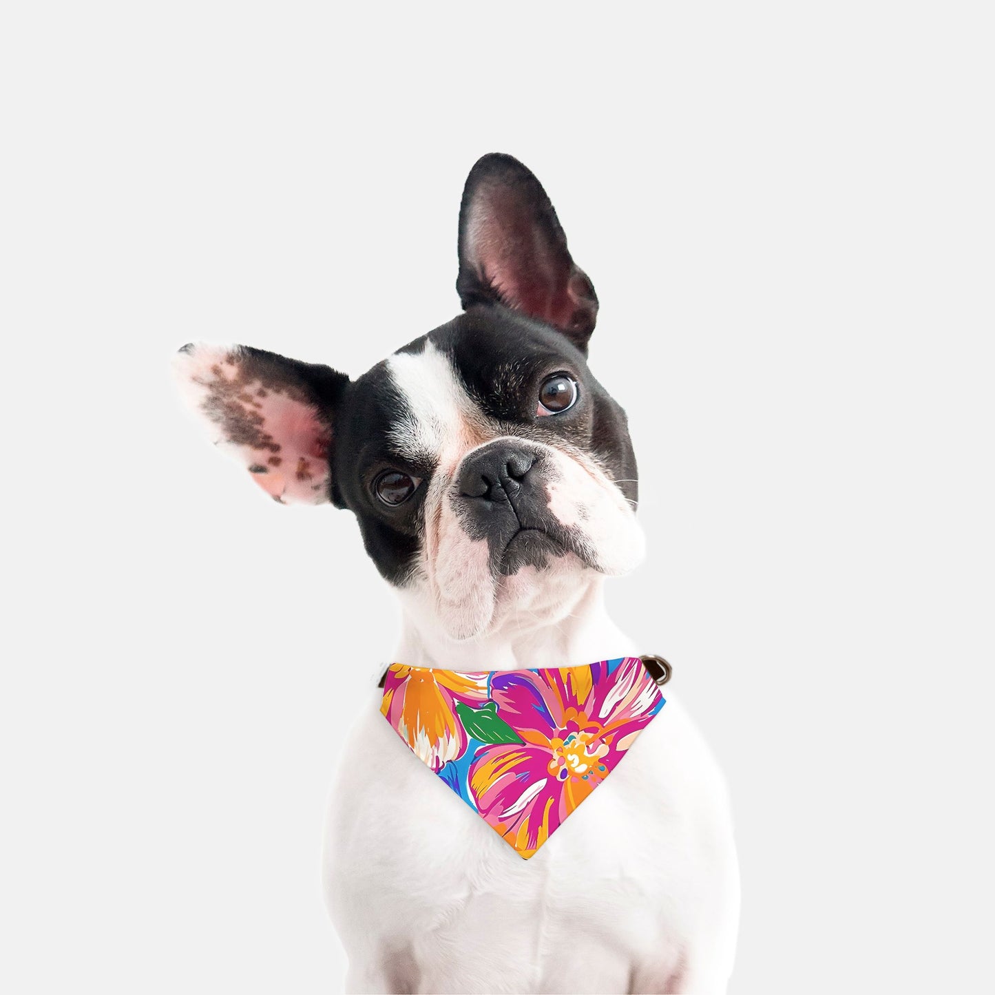 Collar Pet Bandana (Sm & Med)