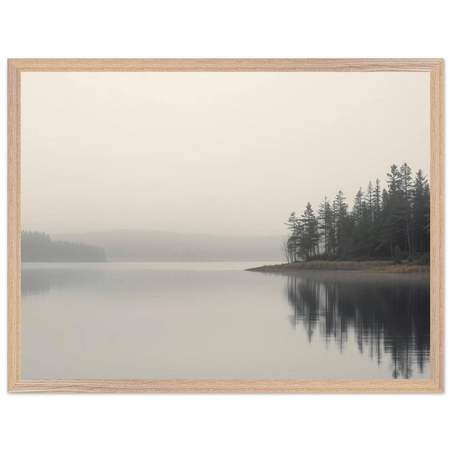 fae35d1c-b95a-4a17-88a9-6c9808987485